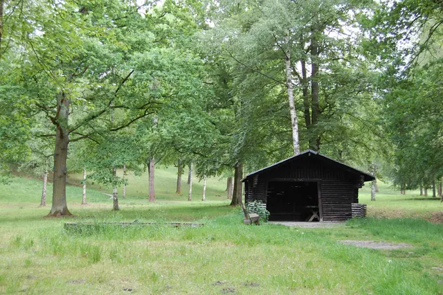 Photo of Wohnmobilstellplatz Steinway-Park Seesen