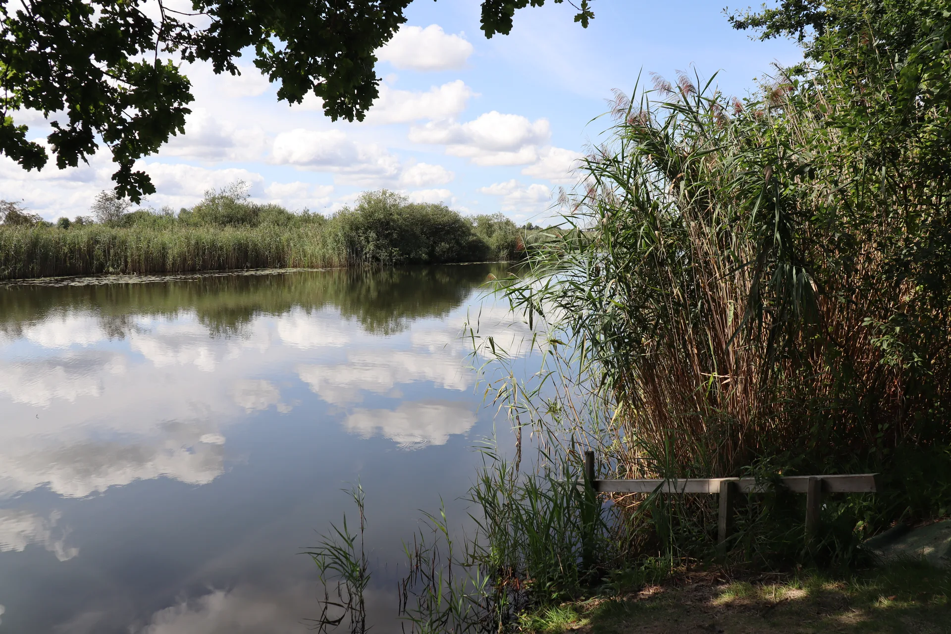 Cover photo of Freizeitpark Rethemer Fähre