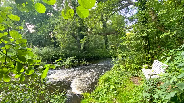 Photo of Campingplatz Alte Löweninsel