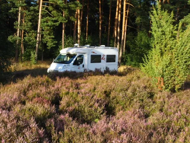 Photo of Wohnmobilstellplatz Schwindebecker Heide