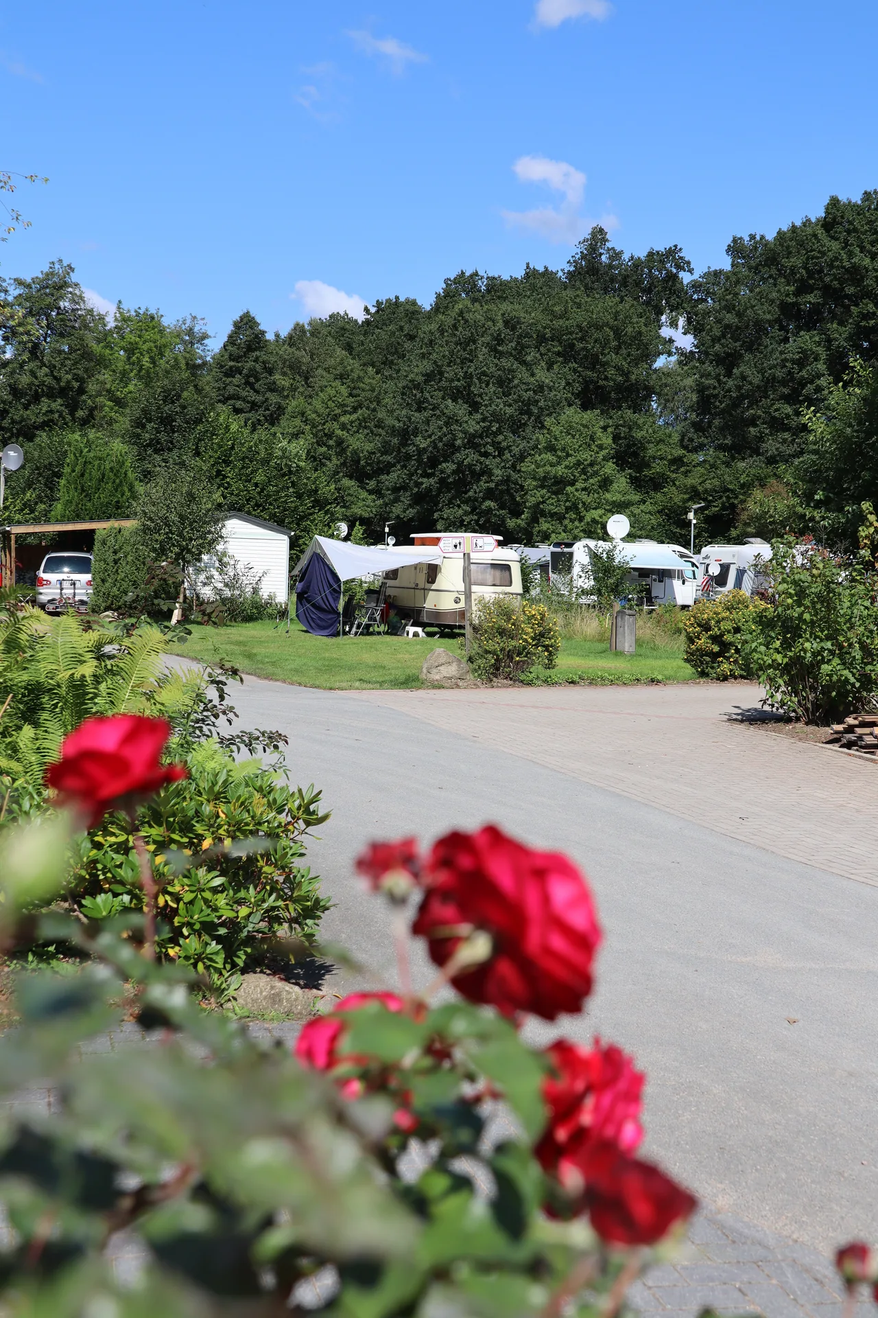 Cover photo of Campingplatz Brunautal
