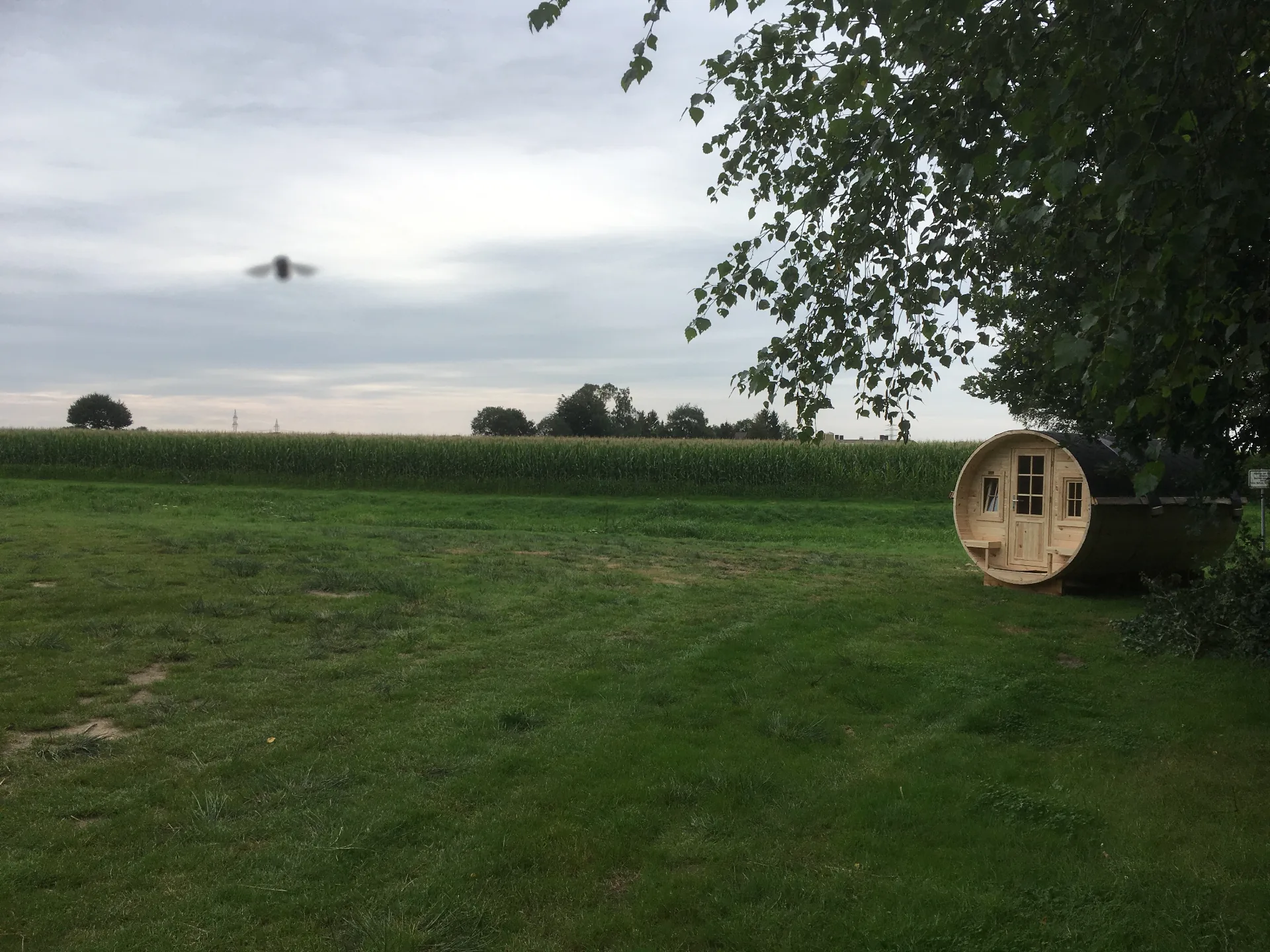Cover photo of Campingplatz Huntesee