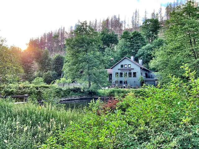 Photo of Wald- & Naturcampingplatz Harz Hideaway