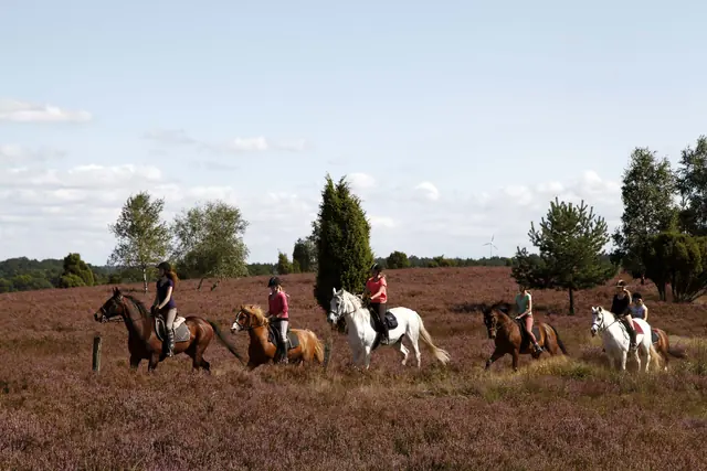 Photo of Reiter- und Ferienhof Cohrs