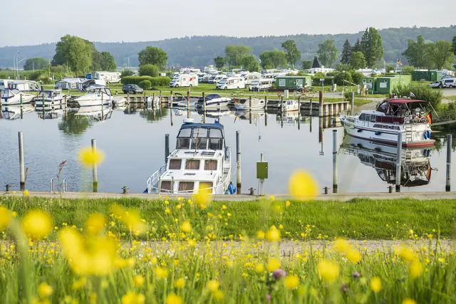 Photo of Campingplatz Flecken Artlenburg
