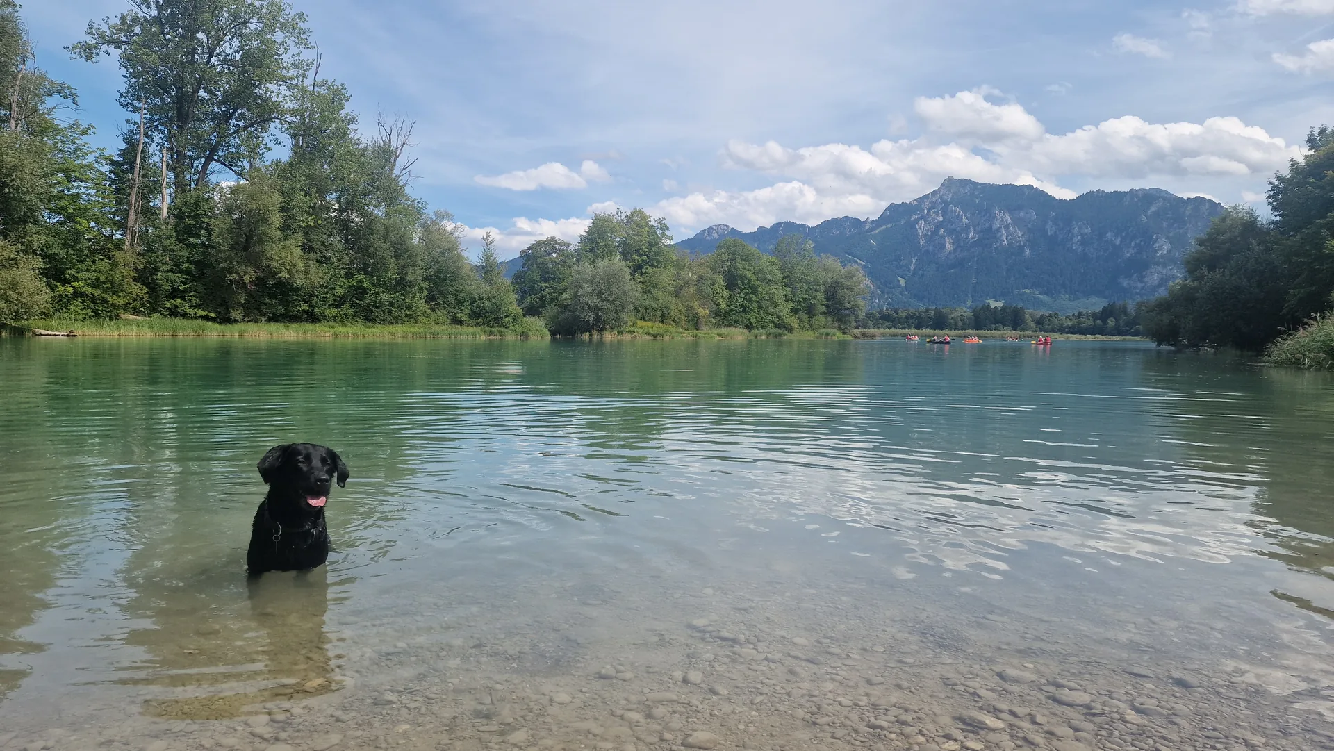 Cover photo of Wohnmobilplatz Füssen