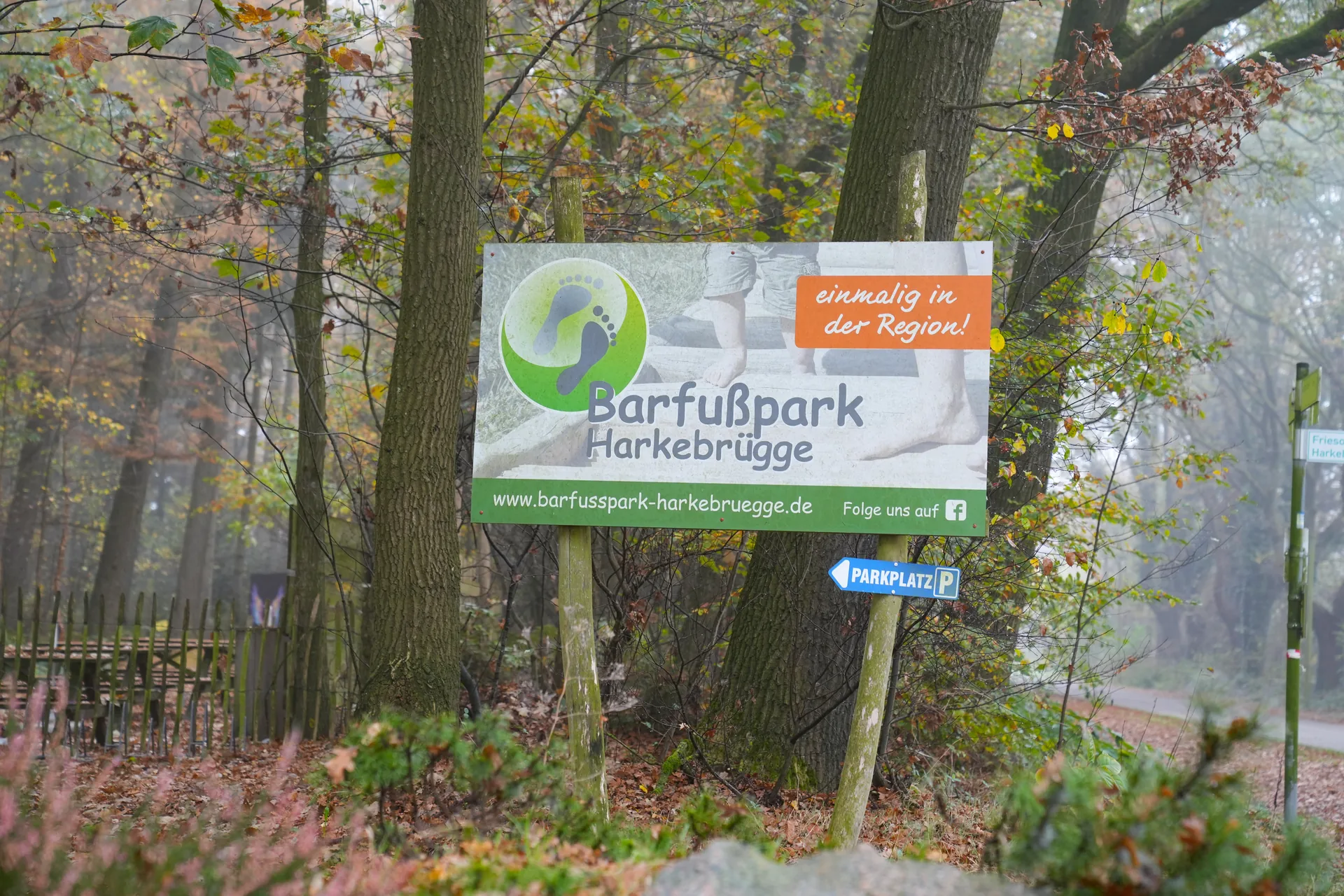 Cover photo of Schlafen im Baumzelt - Barfußpark Harkebrügge