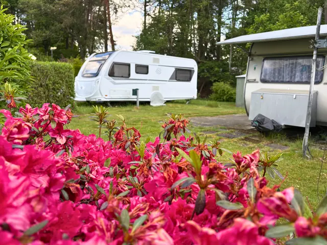 Photo of Campingplatz zum Oertzewinkel