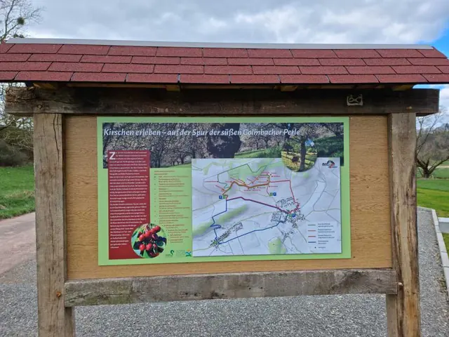 Photo of Wohnmobilstellplatz "Am Forstbach" Golmbach