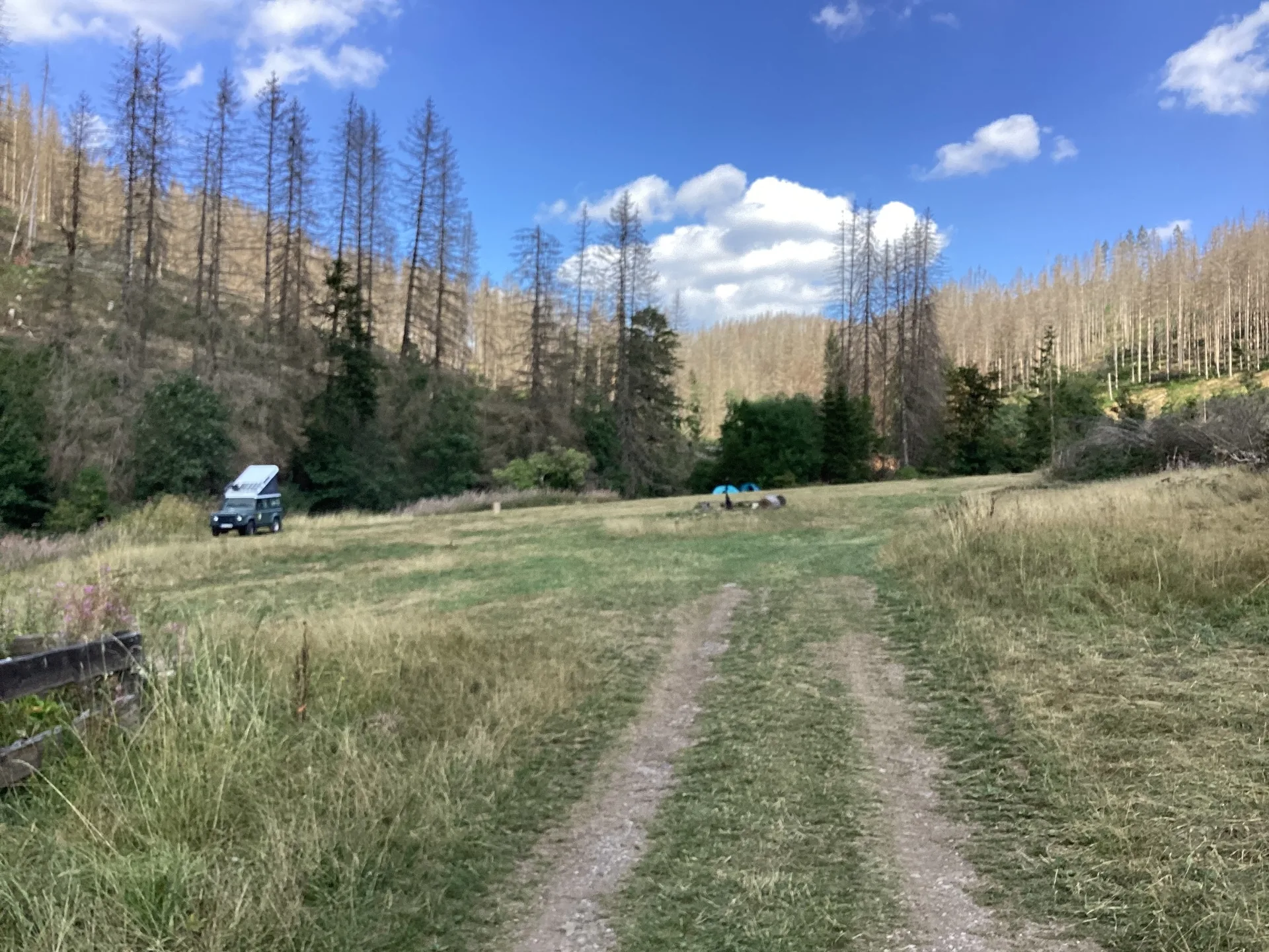 Cover photo of Wald- & Naturcampingplatz Harz Hideaway