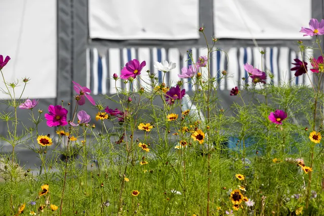 Photo of Strandcampingplatz Dangast