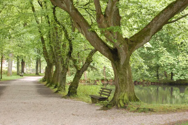 Photo of Wohnmobilstellplatz Steinway-Park Seesen