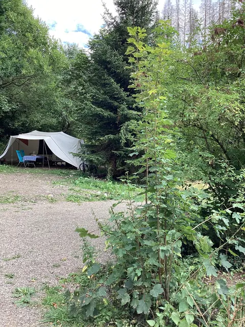 Photo of Wald- & Naturcampingplatz Harz Hideaway