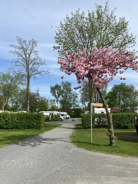 Photo of Campingplatz am Alfsee Ferien- und Erlebnispark*****S
