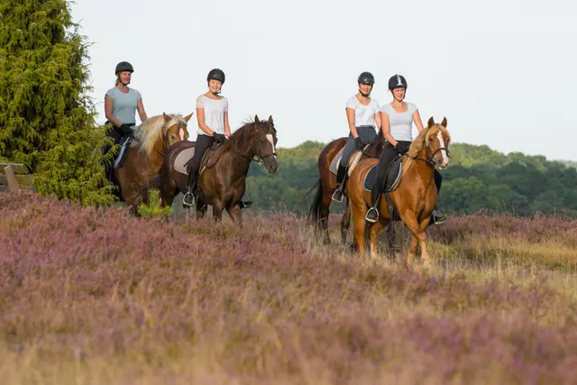 Photo of Reiter- und Ferienhof Cohrs