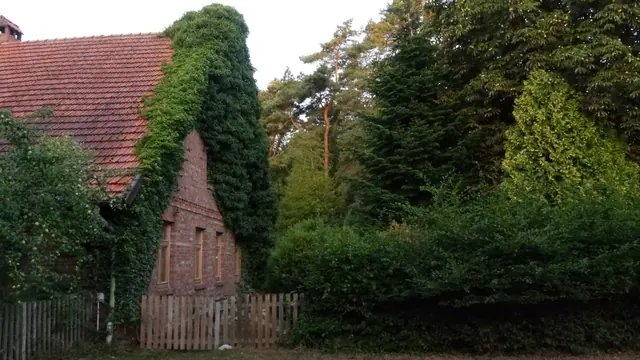 Photo of Bauernhof vor dem Moore