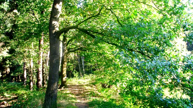 Photo of Waldcampingplatz Ummelbad