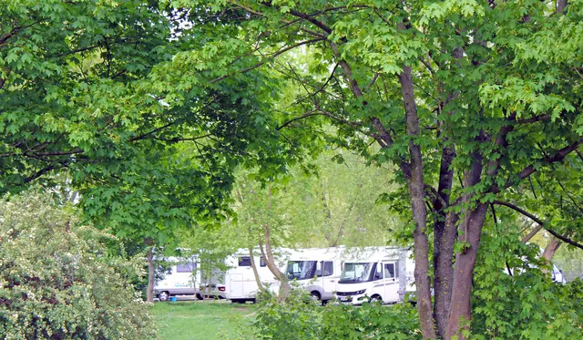Photo of Wohnmobilstellplatz Allerwelle Gifhorn