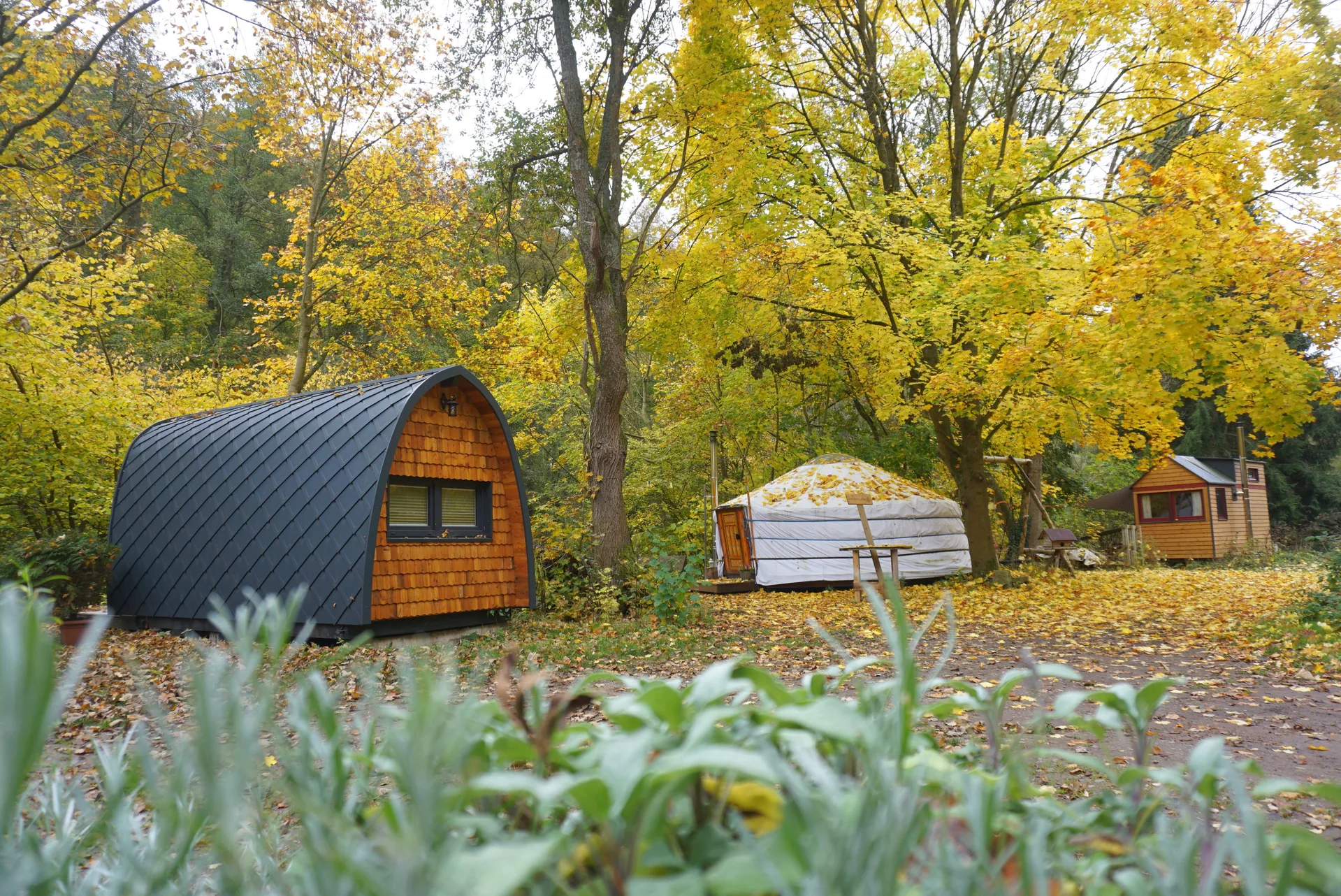 Cover photo of Waldreise Themenunterkünfte