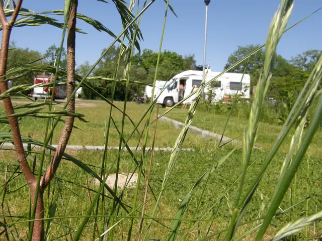 Photo of Reisemobilstellplatz Rhauderfehn