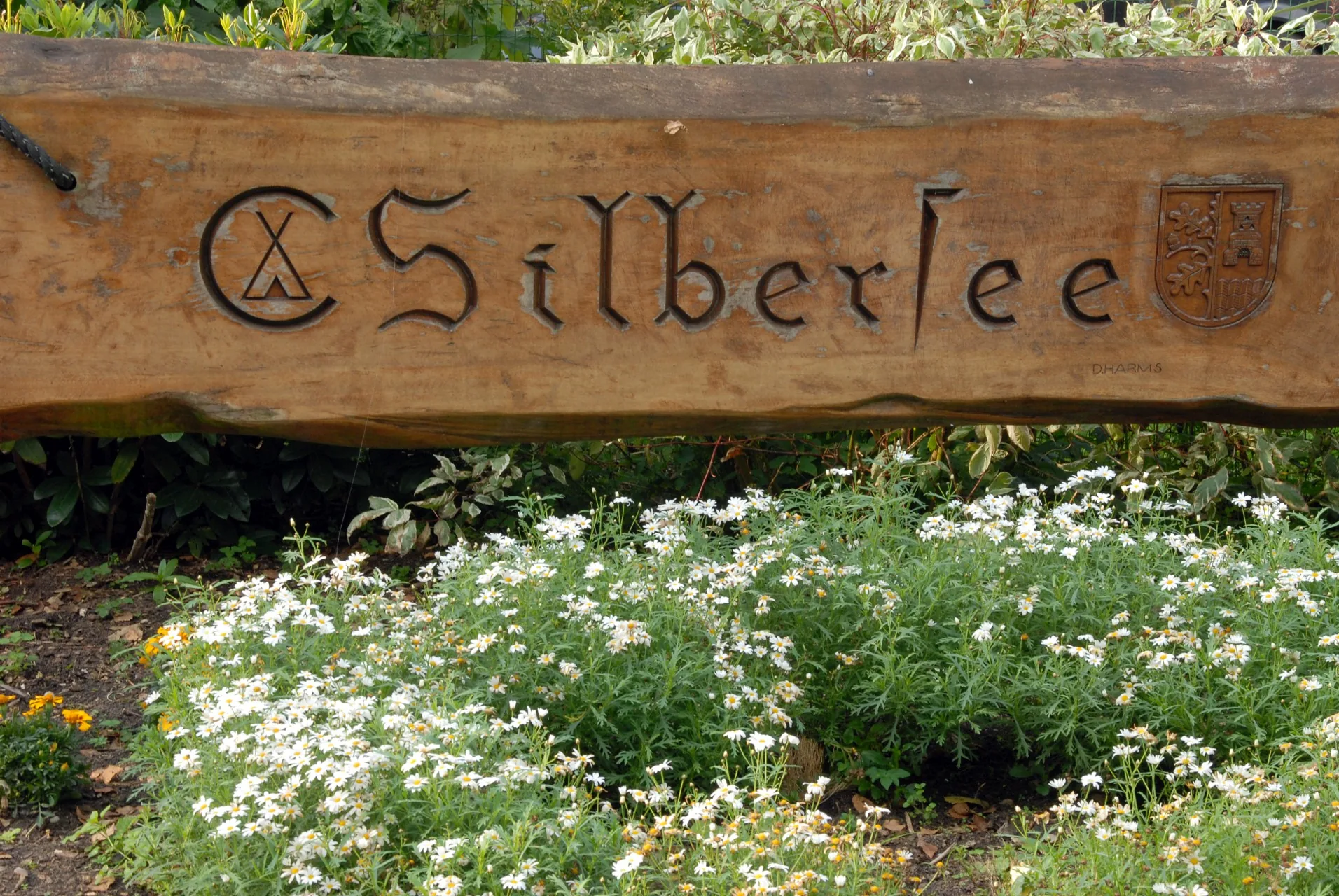 Cover photo of Campingplatz Silbersee Wehdel